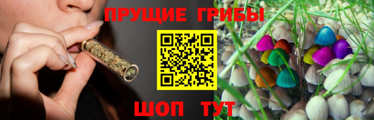 Конаково  Псилоцибиновые грибы ЛСД  Вход с VPN 