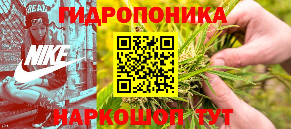 Конаково  Конопля гибрид  Вход с VPN  Бошки марихуана OG Kush 